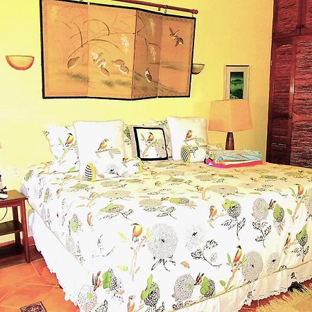 Aparthotel Casa Gatos Akumal Exteriér fotografie