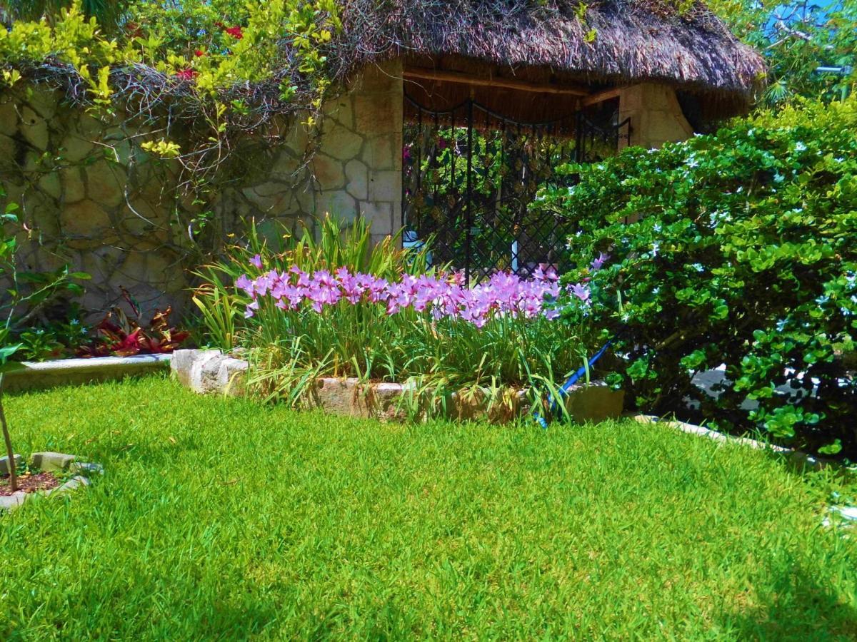 Aparthotel Casa Gatos Akumal Exteriér fotografie